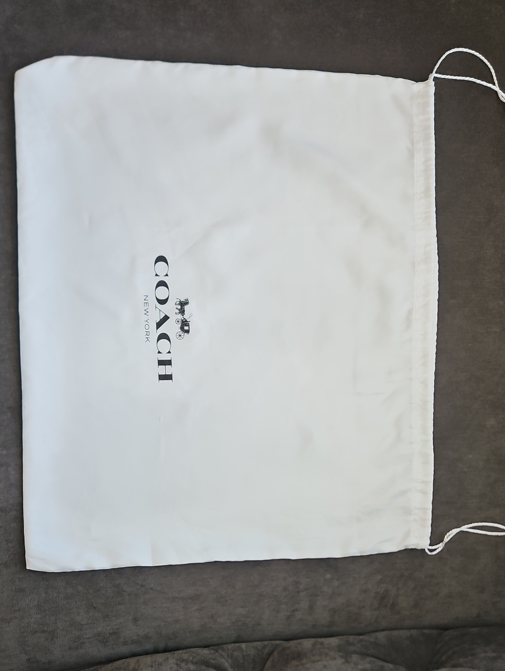 Coach Dust Bag- Large - Picture 2 of 5